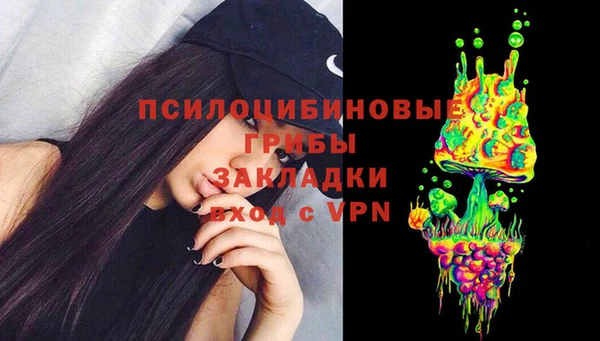 метадон Богданович