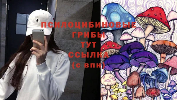 метадон Богданович