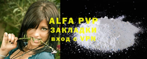метадон Богданович