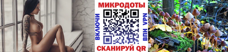 Псилоцибиновые грибы Magic Shrooms  OMG как зайти  Губкин  где продают  